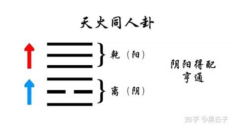 每日一卦 易安居八字